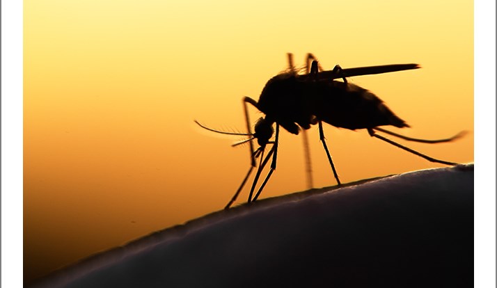 New Test Lets UF Scientists Find Zika Faster